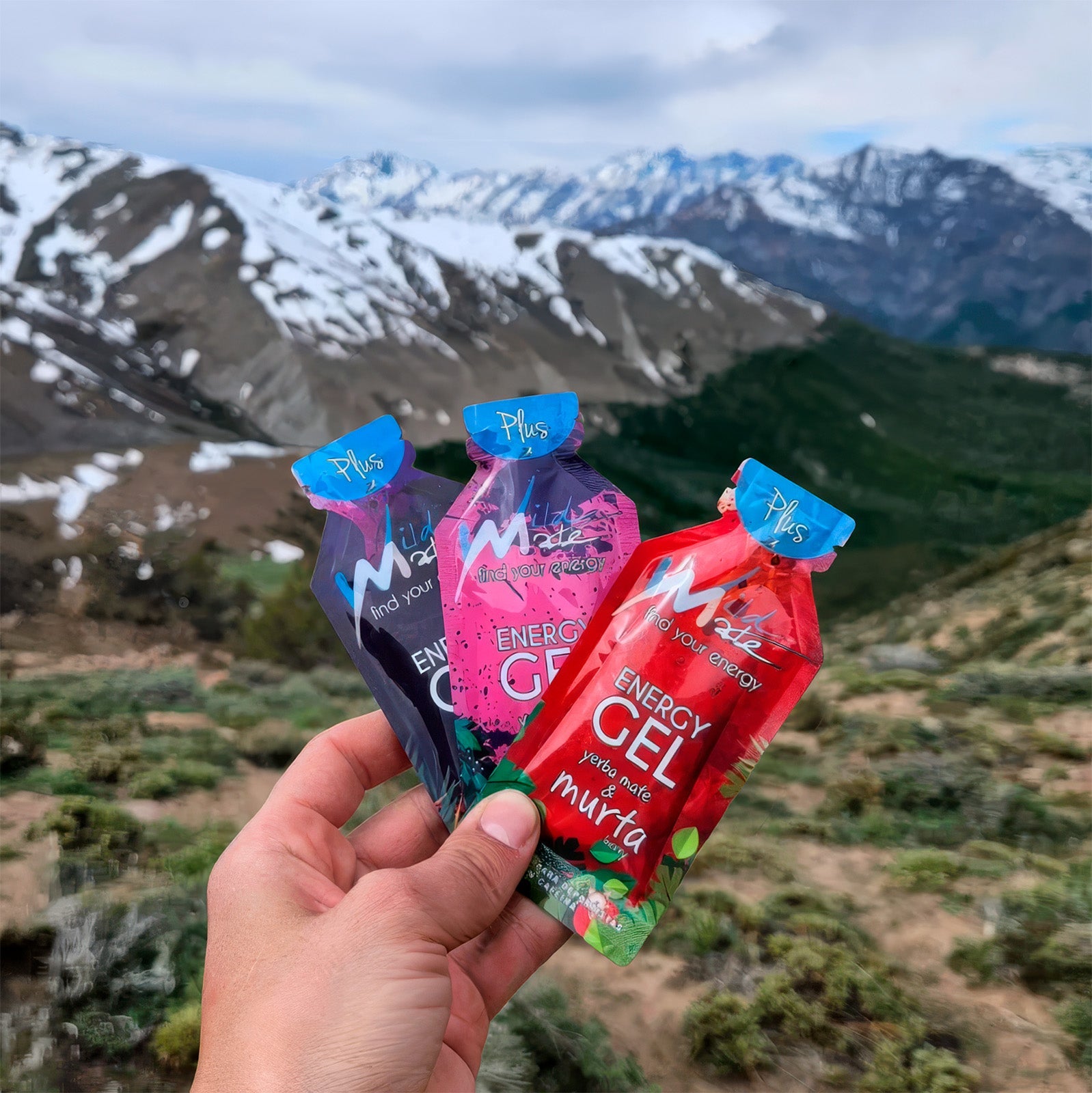 Gel energético Wildmate Plus Súper Pack Calafate-Maqui-Murta