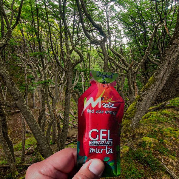 Gel energético Wildmate Original Murta